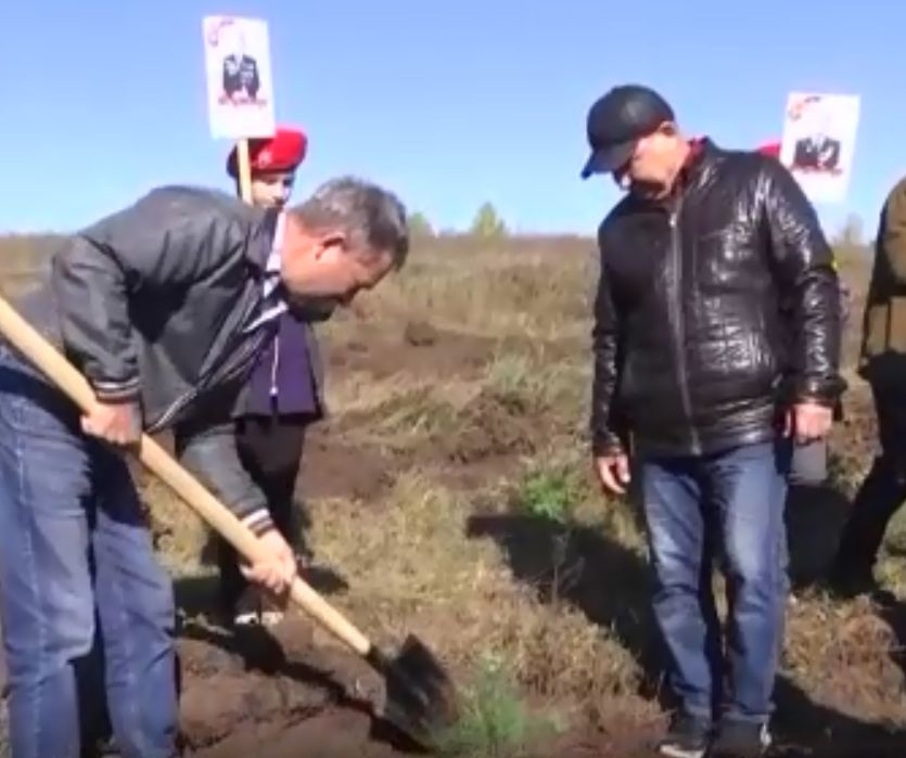 В Благовещенске высадили аллею в честь 75-летия Победы.