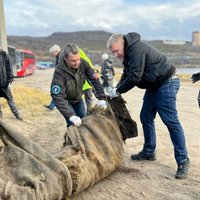 Сотня северян очистила Арктический пляж от мусора