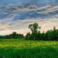 В Минприроды предложили создать молодежный совет при министерстве