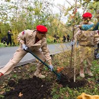 В память о погибших детях Донбасса высадили Аллею ангелов